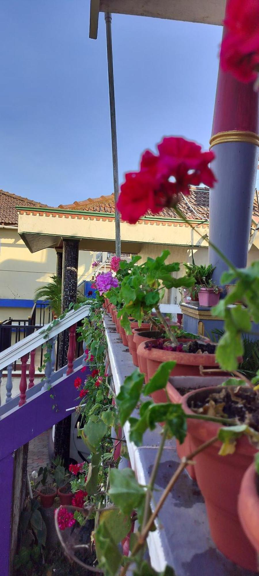 Royal Palm Homestay Madikeri Exterior foto