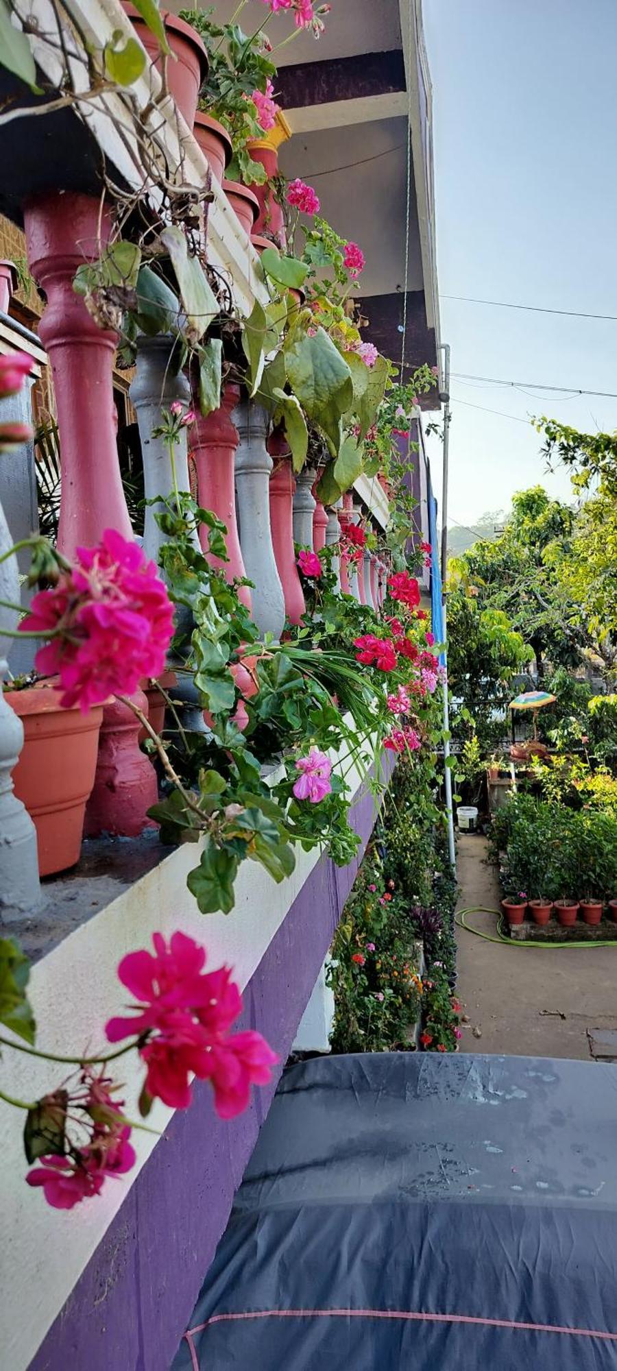 Royal Palm Homestay Madikeri Exterior foto
