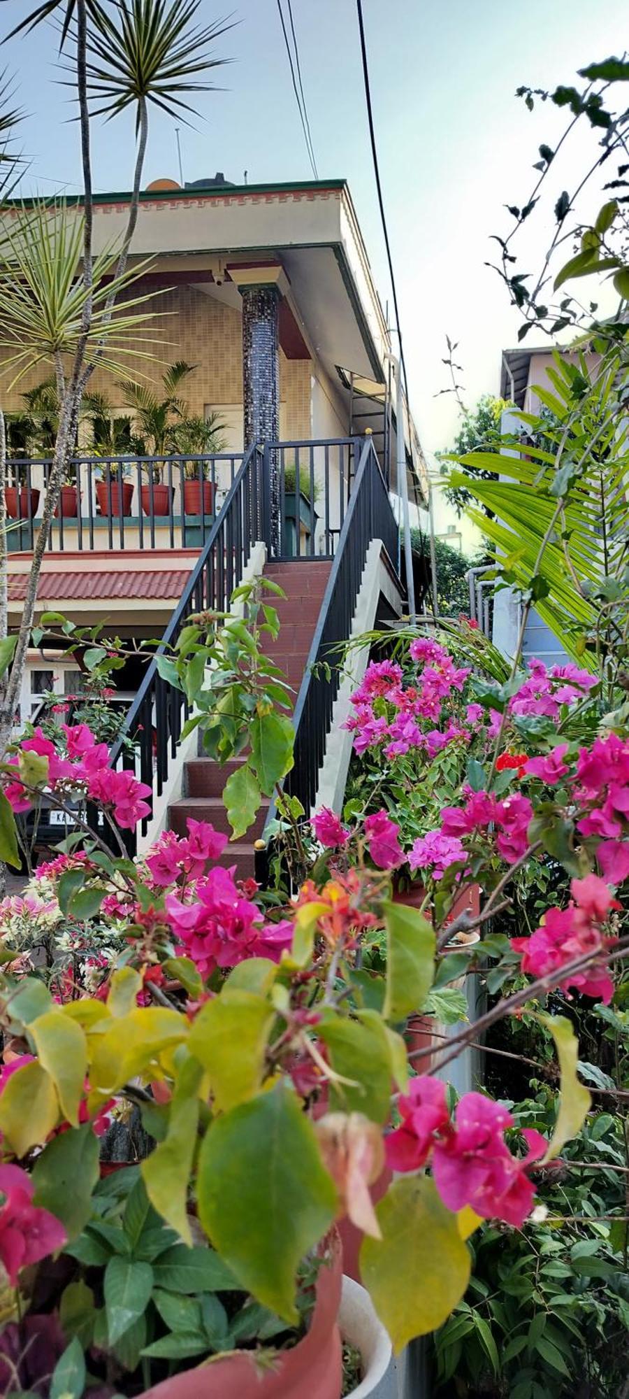Royal Palm Homestay Madikeri Exterior foto